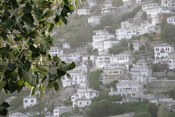 Hotel Petrino Makrinitsa Exterior photo